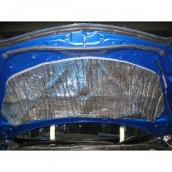 STP Hood Solution 10