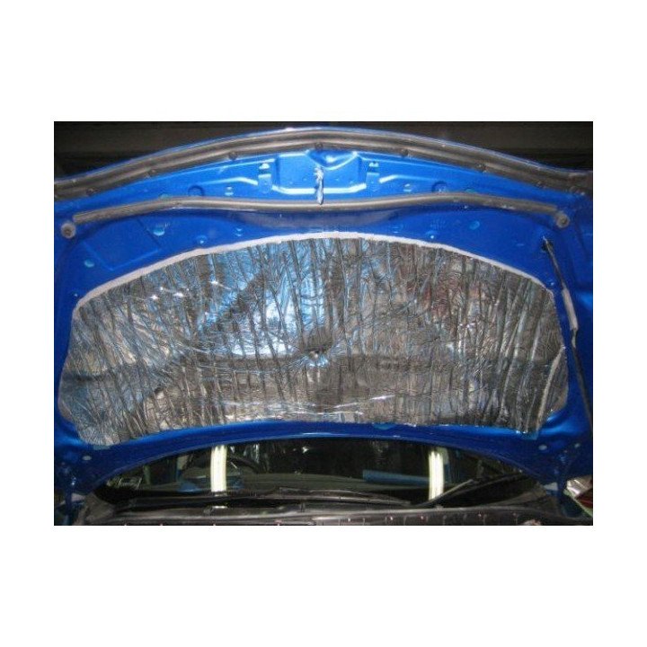 STP Hood Solution 10