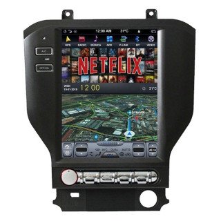 FORD MUSTANG (2010-2014)