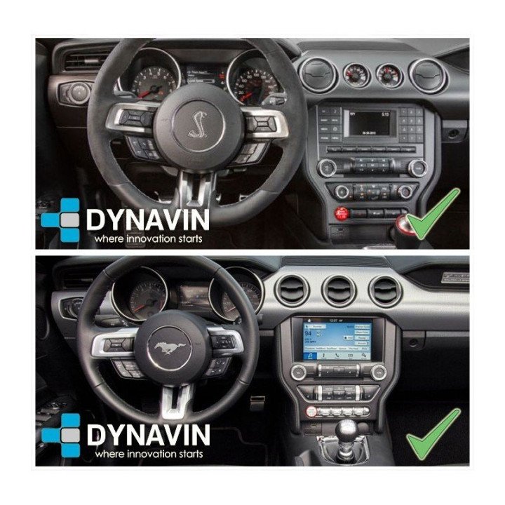 FORD MUSTANG (2010-2014)