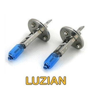 P21 1P30 AMB P21 1P30 AMB