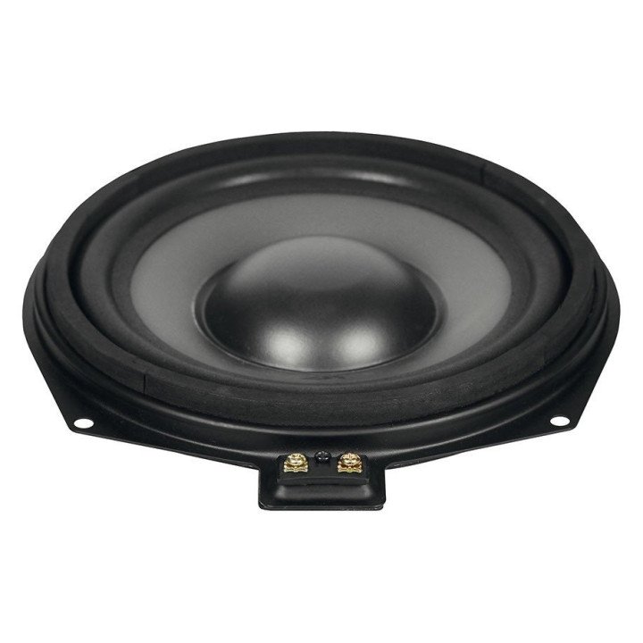 ESX VISION VS200W BMW/MINI