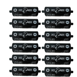 Chess Audio 12 pilas LTO40s