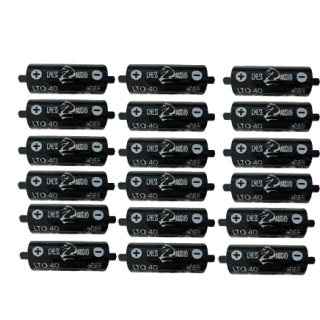 Chess Audio 18 pilas LTO40s