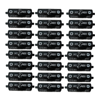 Chess Audio 24 pilas LTO40s