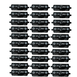 Chess Audio 30 pilas LTO40s