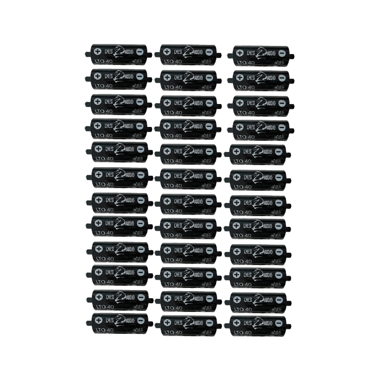 Chess Audio 36 pilas LTO40s