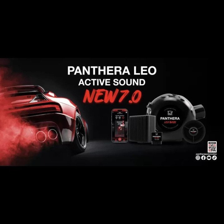 Comprar PANTHERA Leo Active Sound ASC 7.0 - Sound Booster DOBLE - Sound Booster + Boost