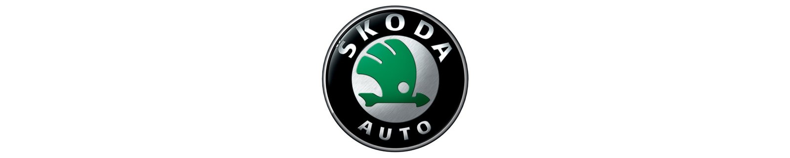 Comprar Radio DVD especifica para Skoda