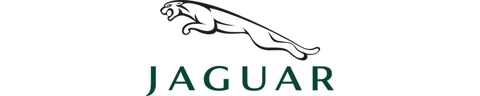 Comprar Marco adaptador Jaguar