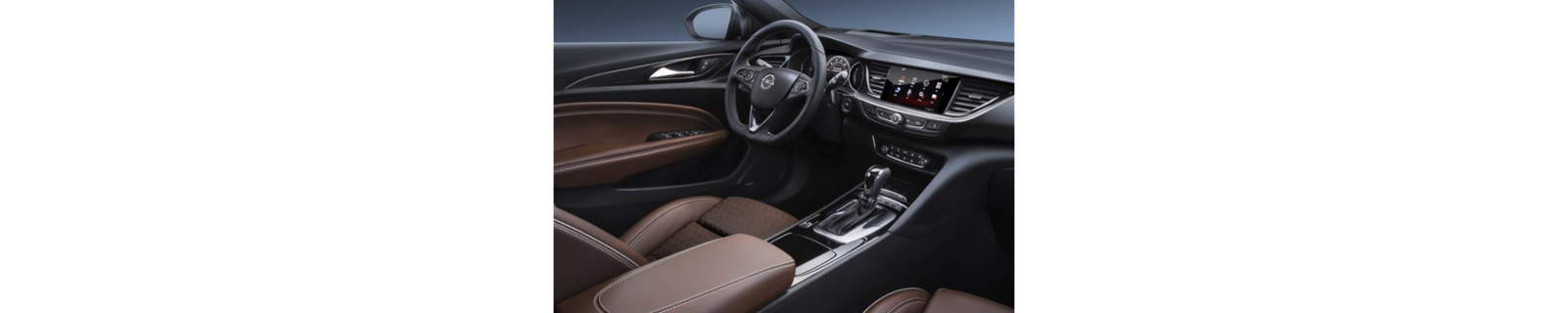 INSIGNIA 2ª GEN ( + 2017 )