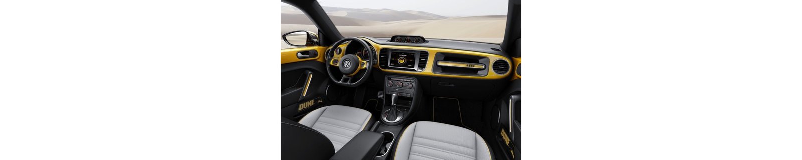 BEETLE DUNE CONCEPT