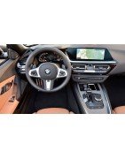 BMW G29 ( + 2019 )
